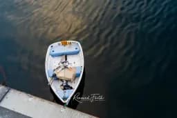 Stuffed Dog in Dinghy