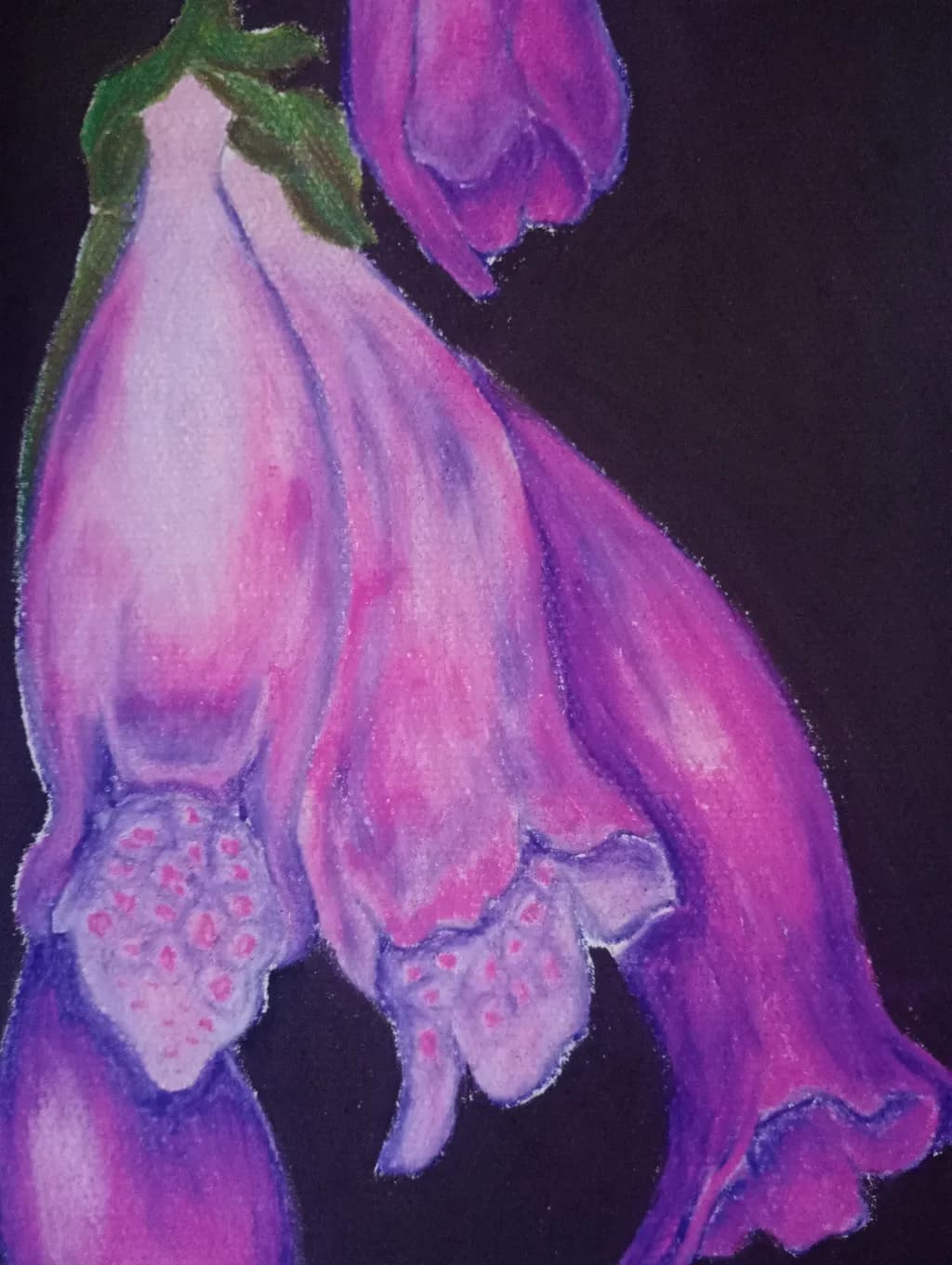 Delicate Purples