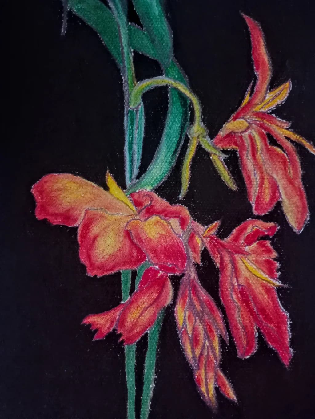 Crimson Blooms