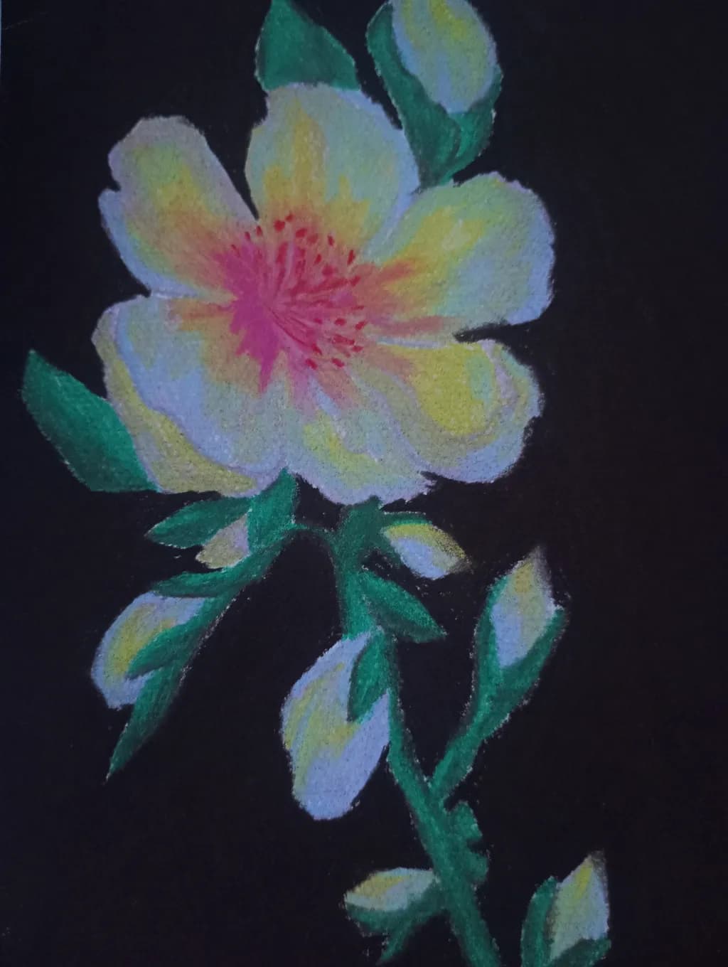 Golden Bloom