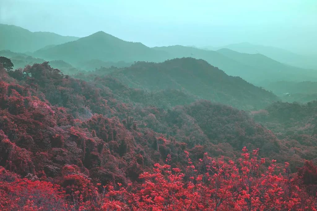 Crimson Horizon
