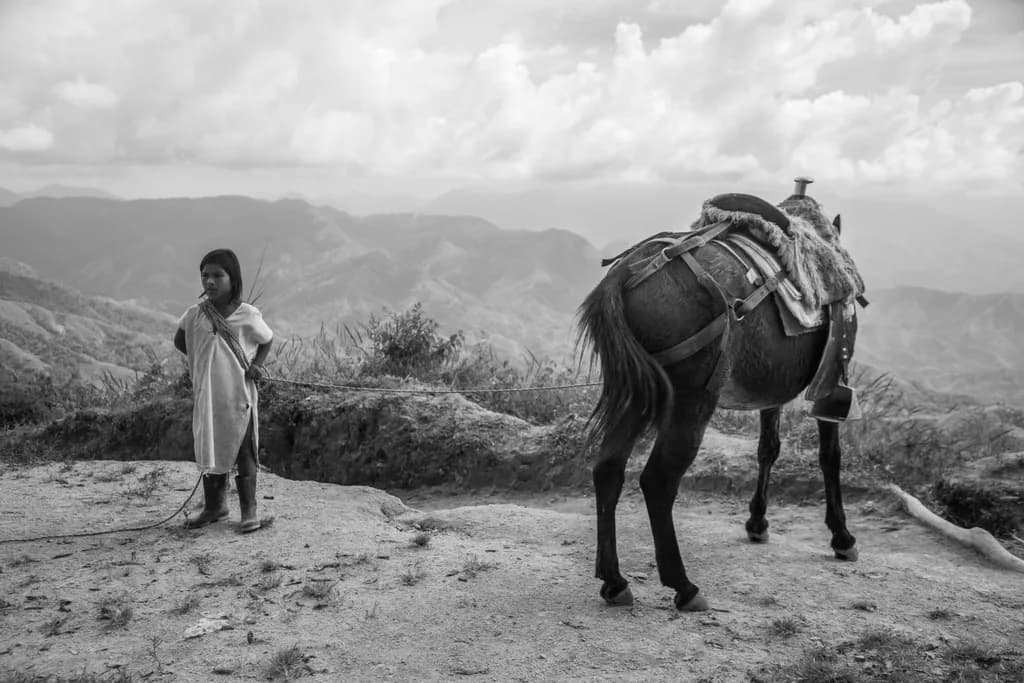 Tethered Companions