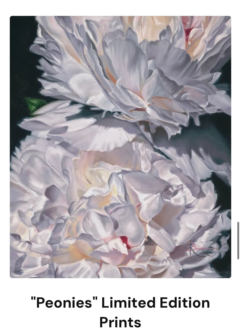 Peonies Blossom
