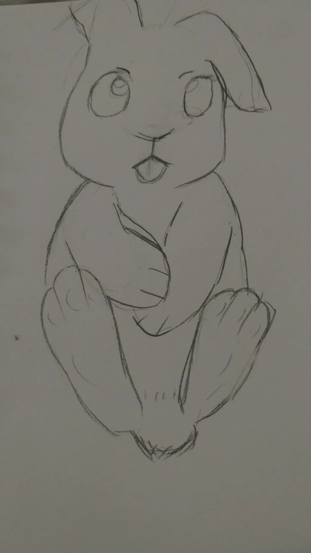 Playful Bunny