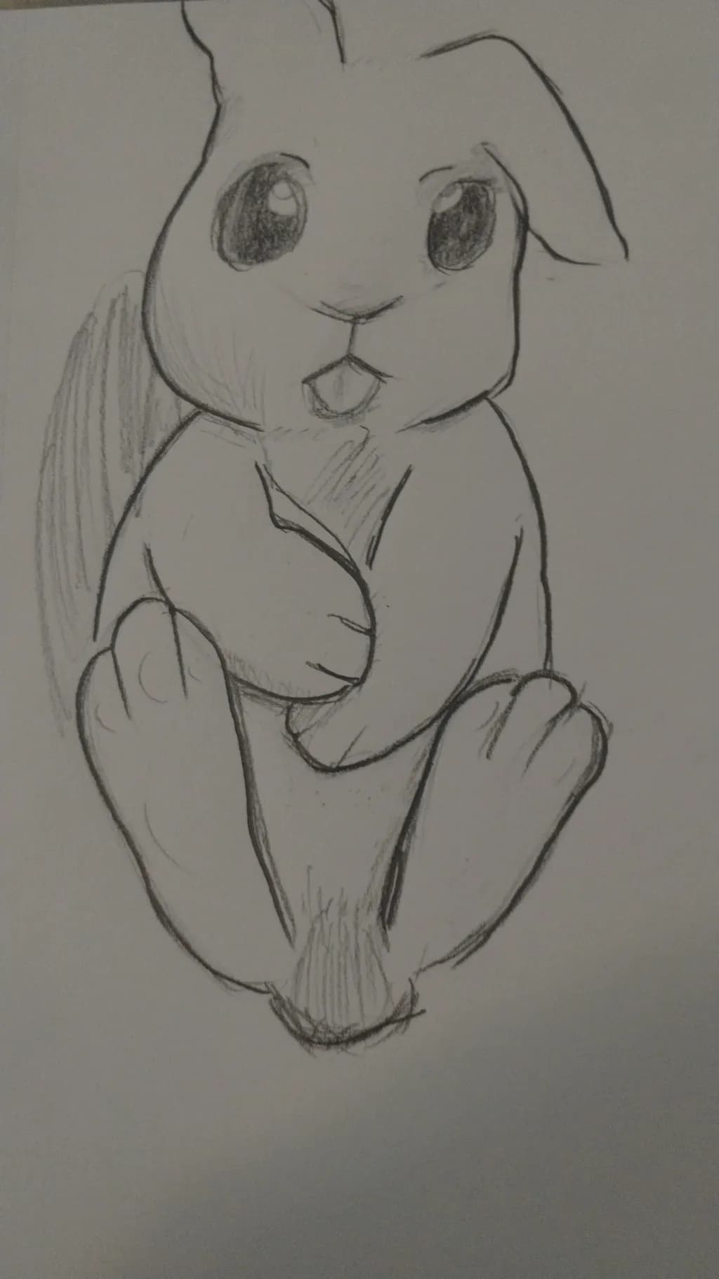 Curious Bunny