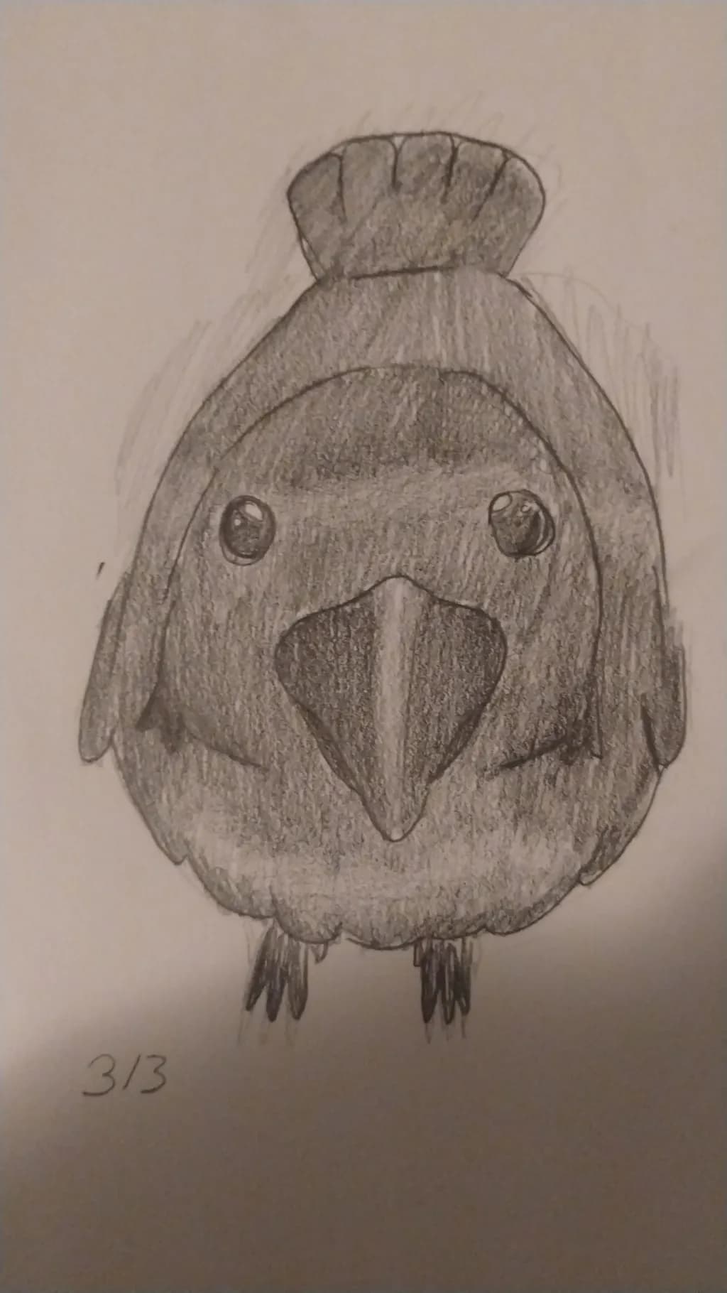 Curious Chirper