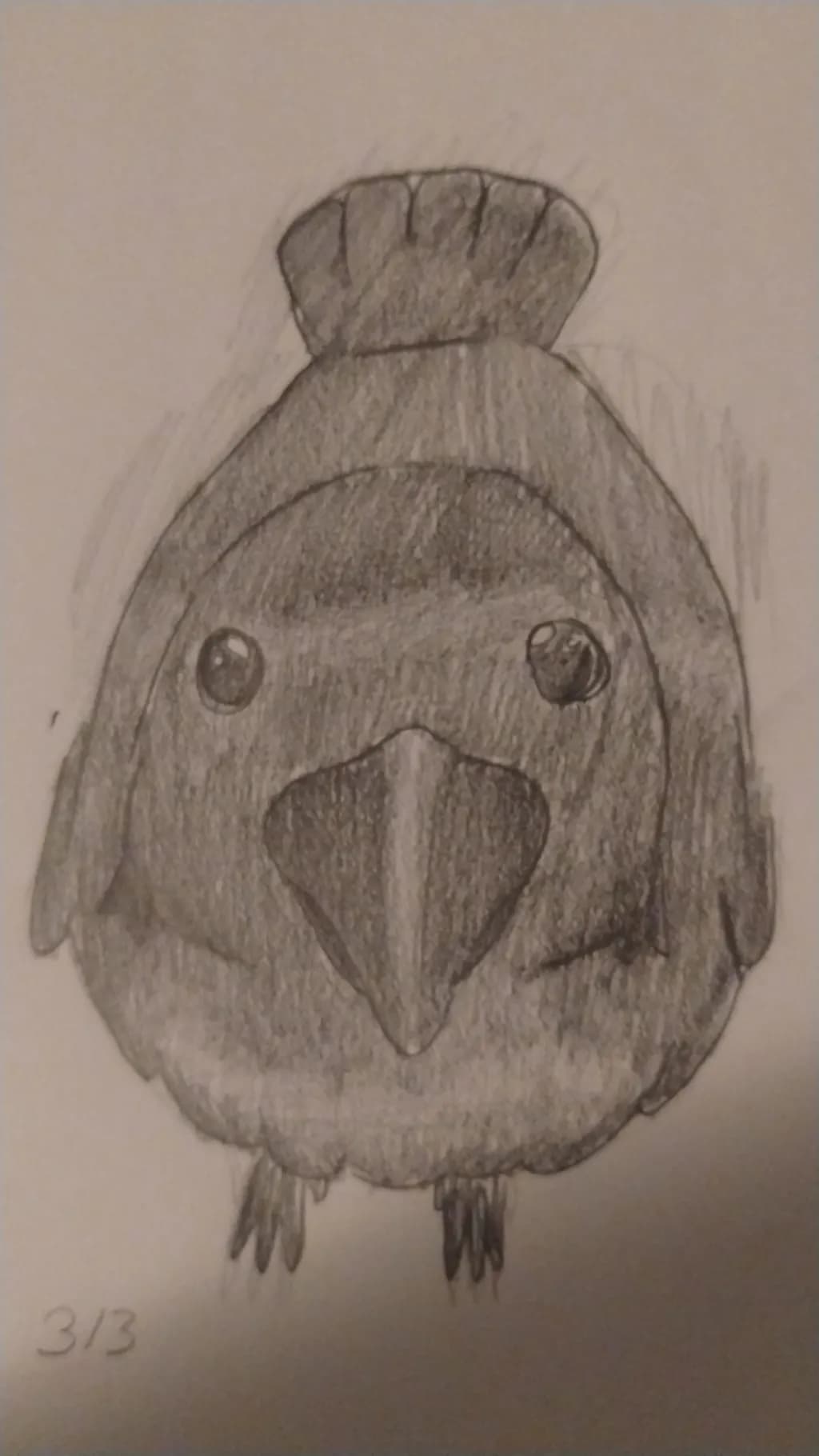 Gentle Crestbird