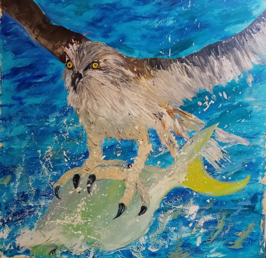 Osprey Catch