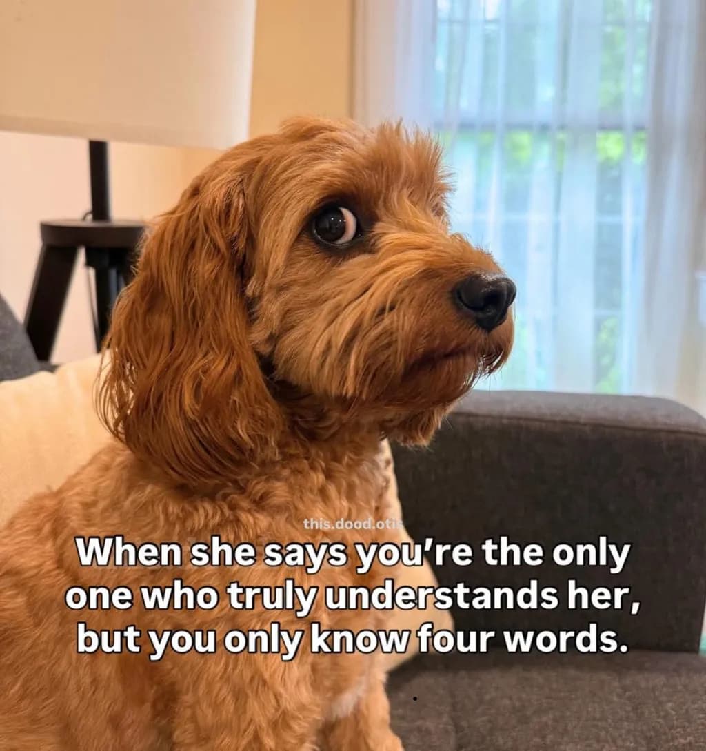 Four Words of Understanding