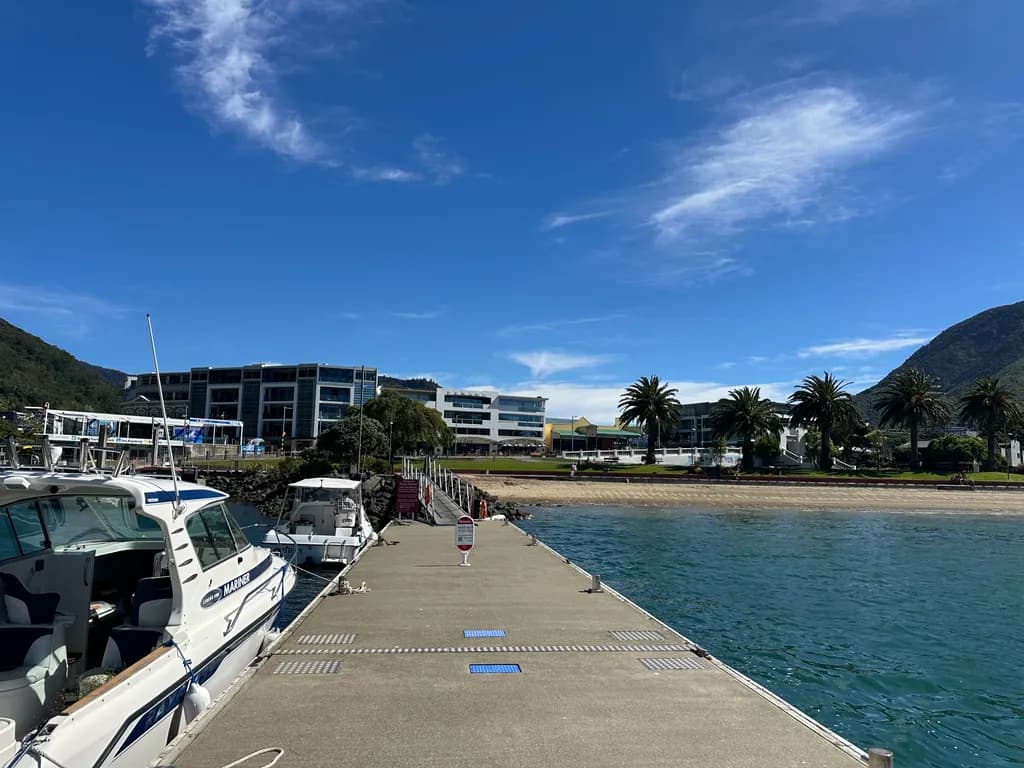 Harbor Serenity