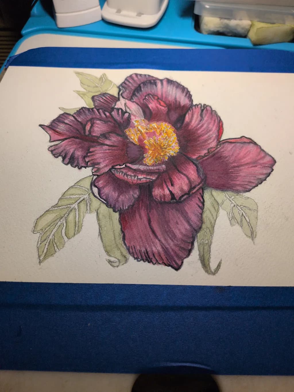 Bold Blossom