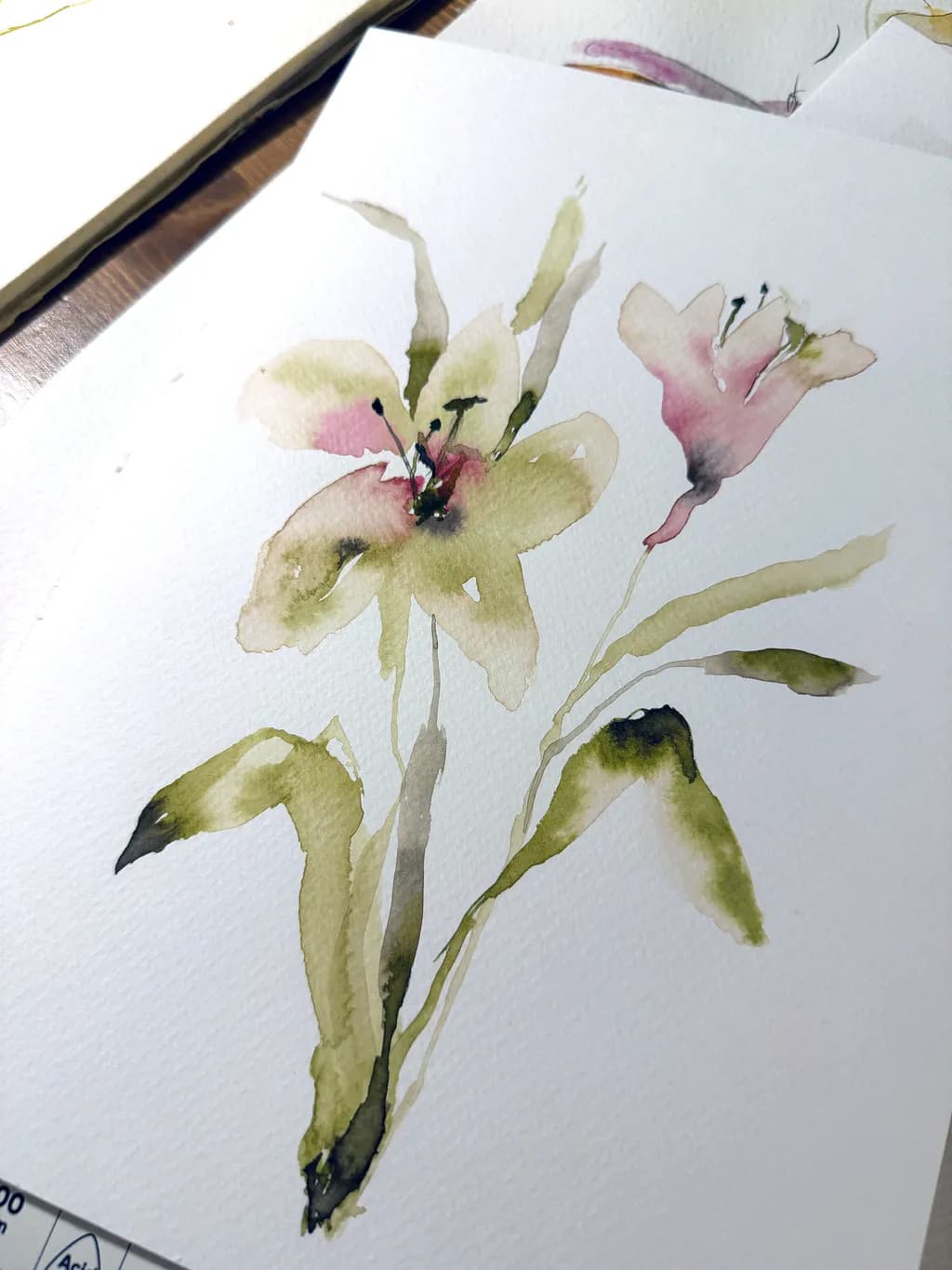 Lily Blooms