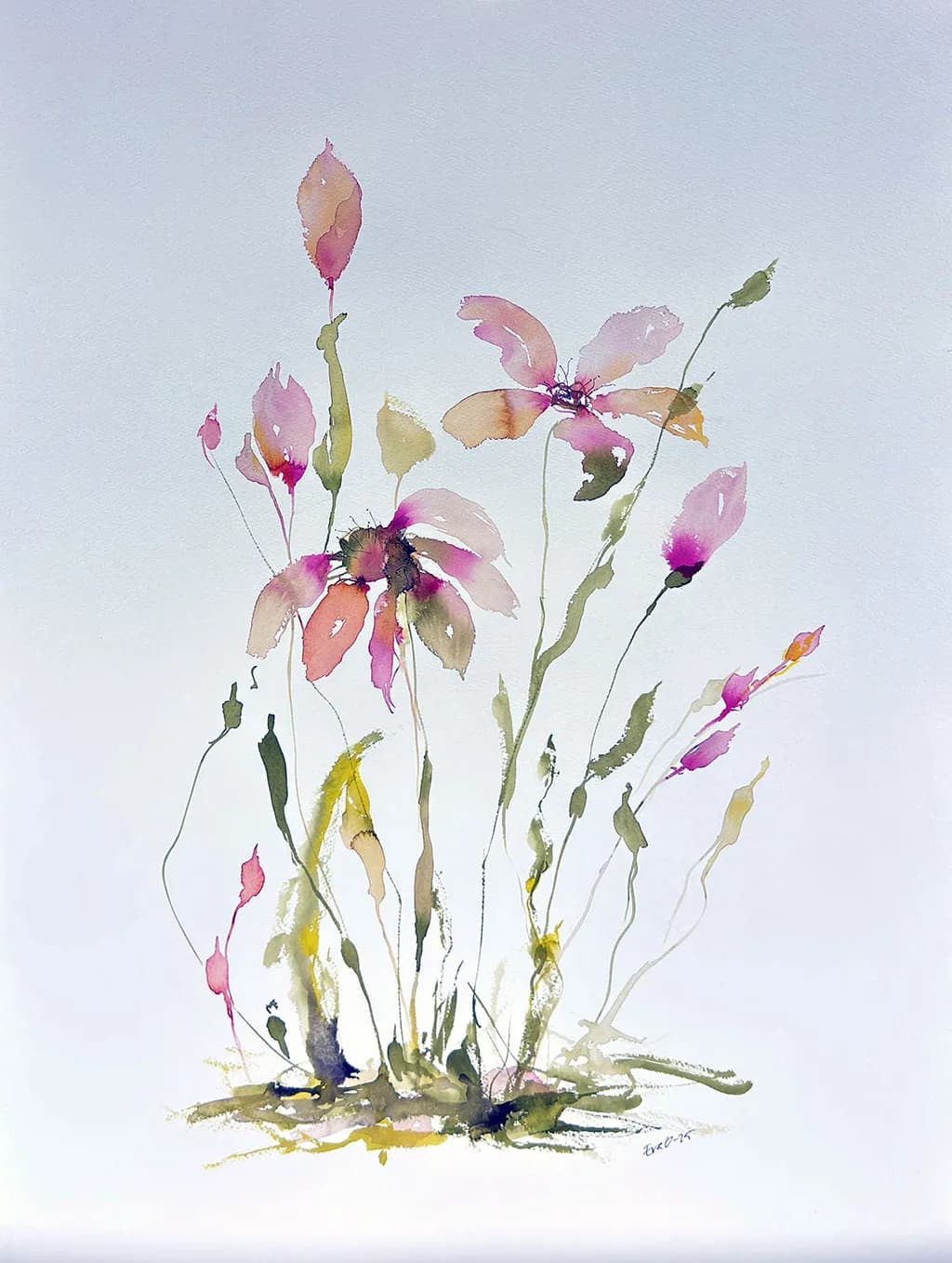 Spring Blooms
