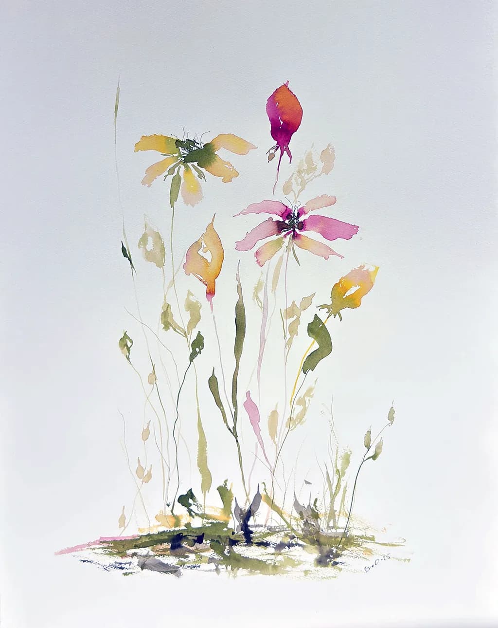 Summer Blooms
