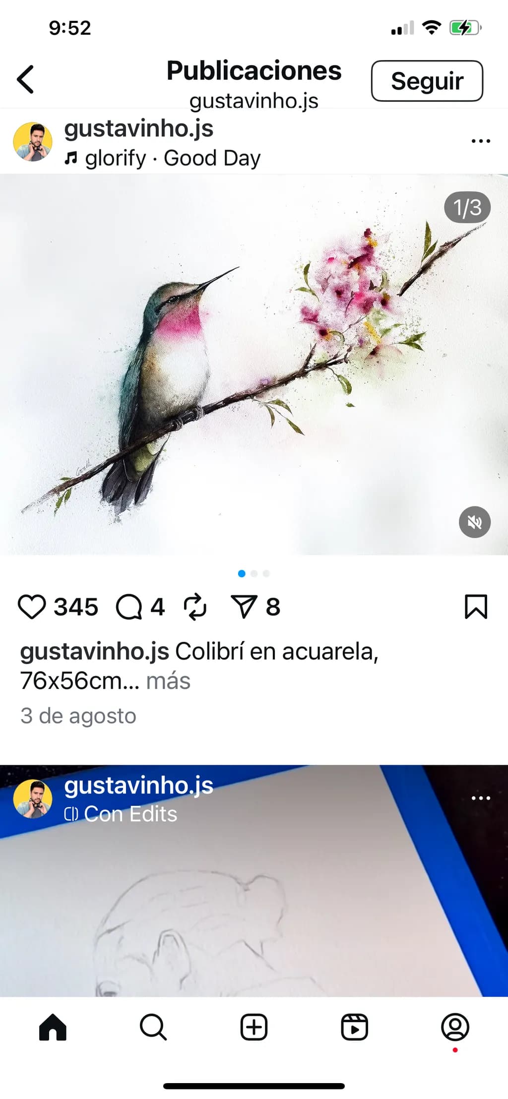 Hummingbird Harmony