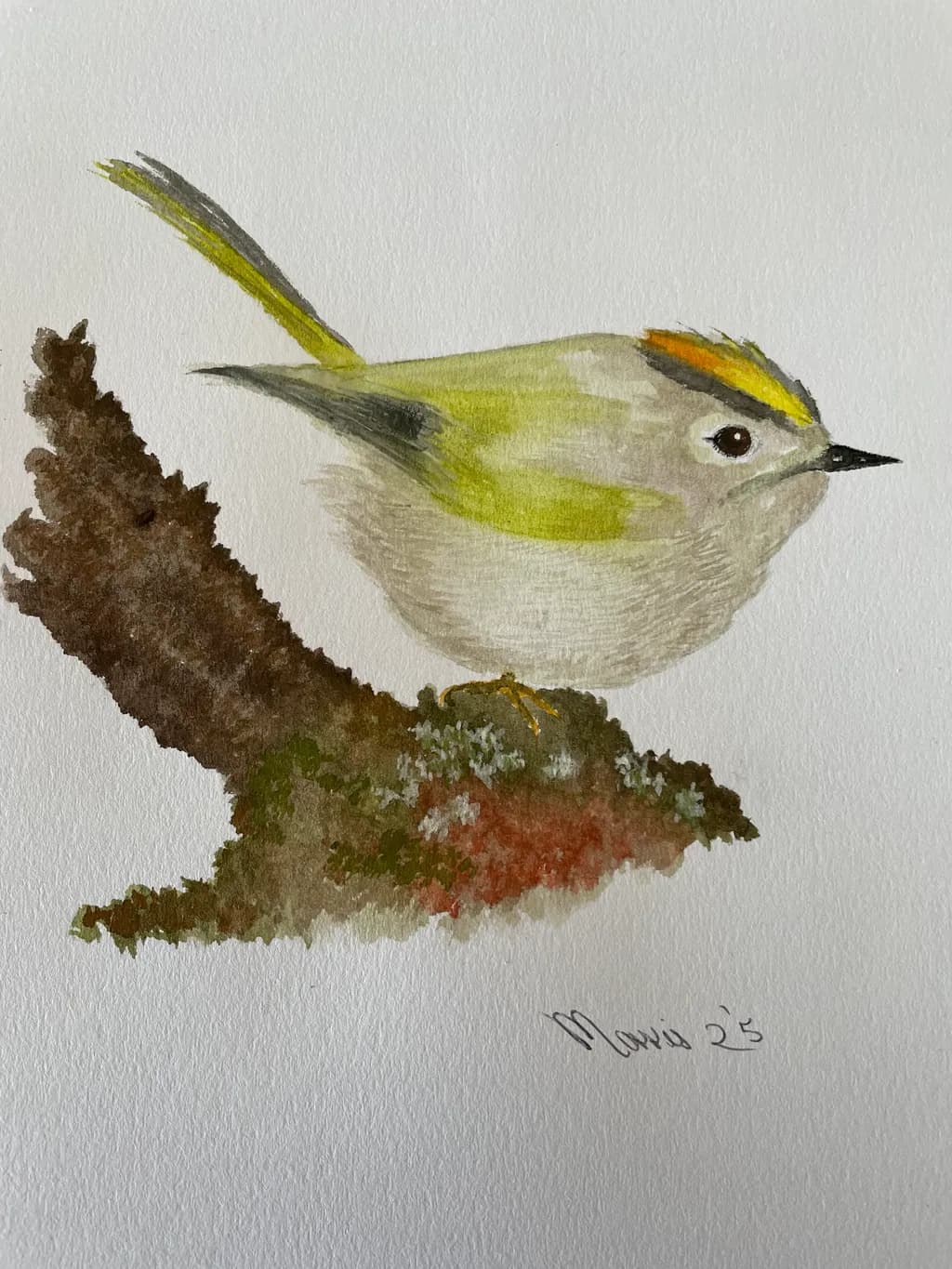 Golden-Crested Bird