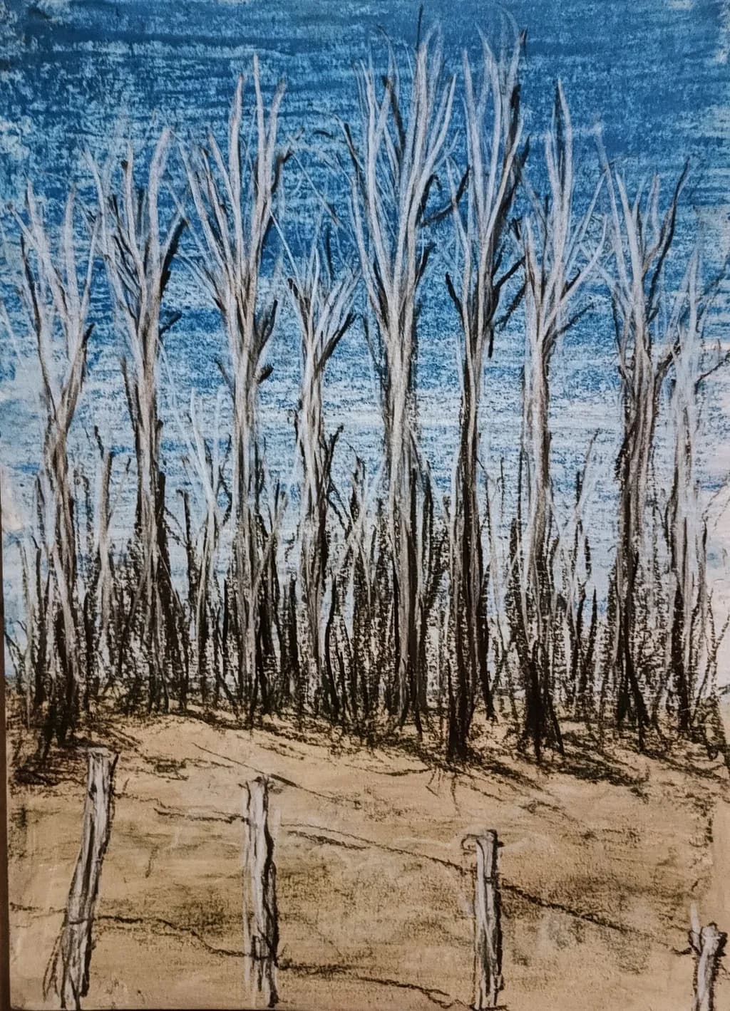 Skeletal Serenity