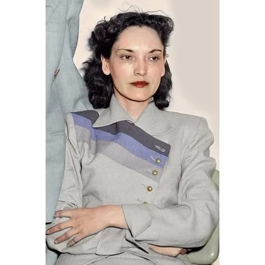Timeless Elegance