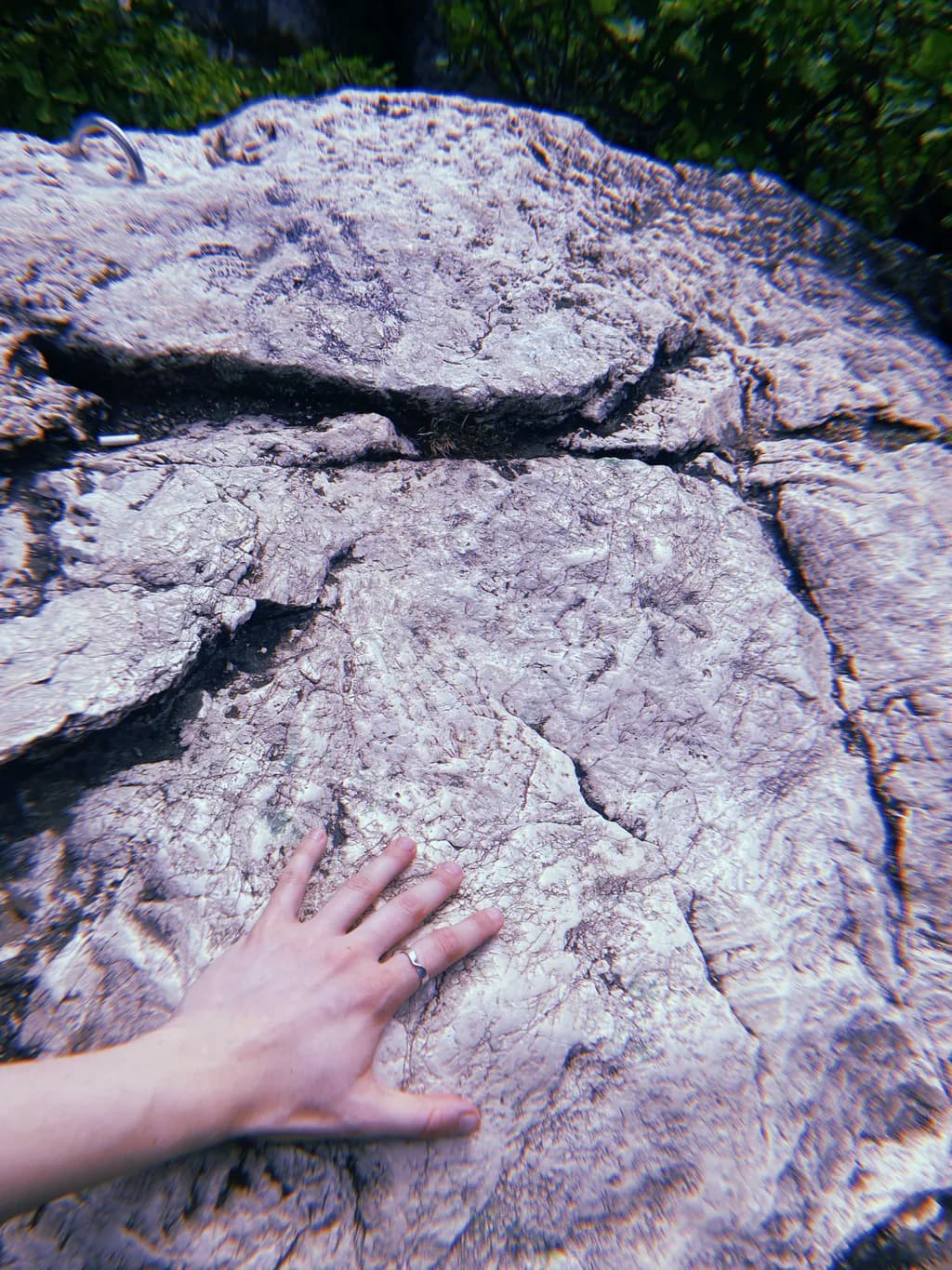 Textured Earth