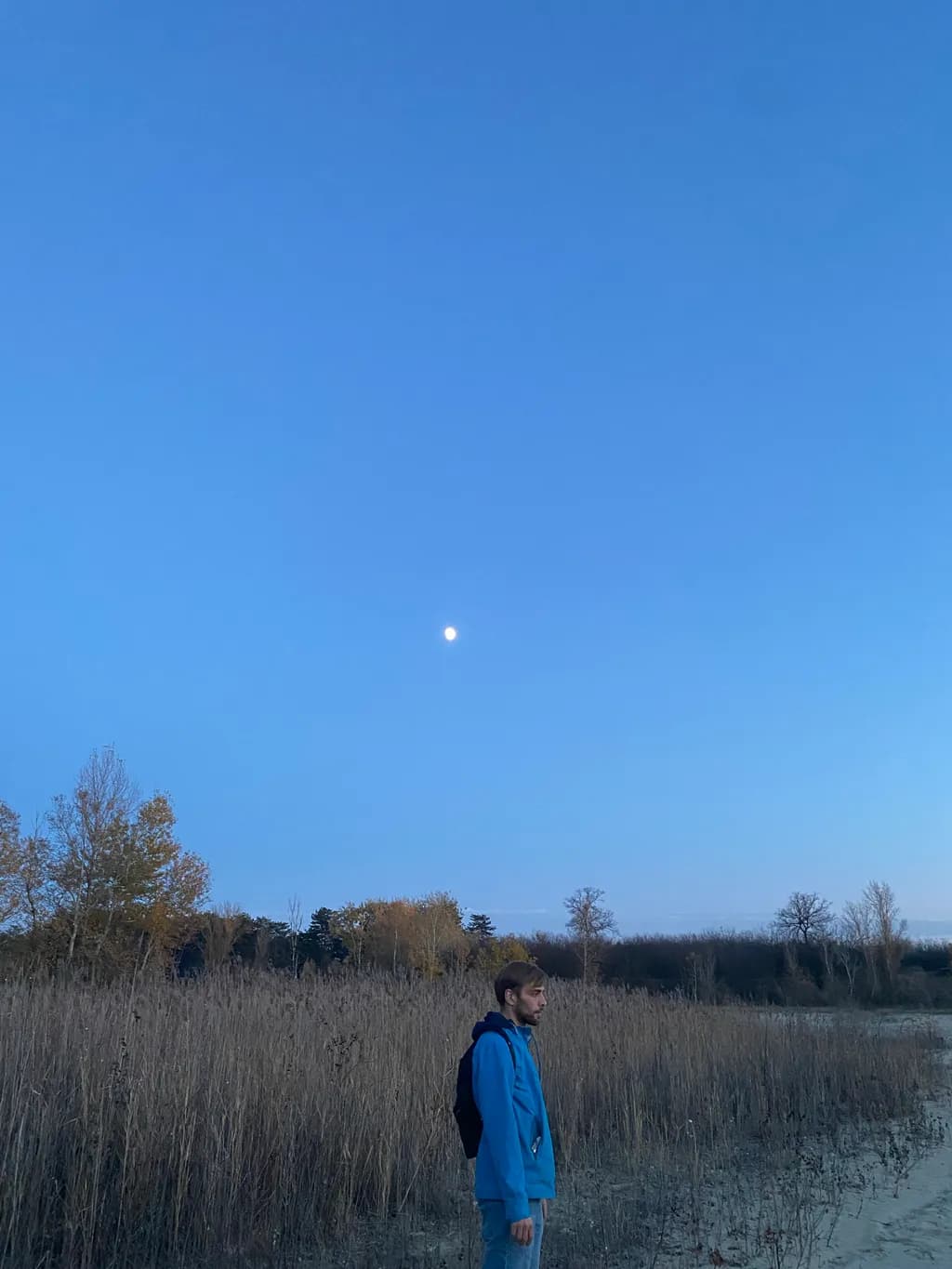 Moonlit Solitude
