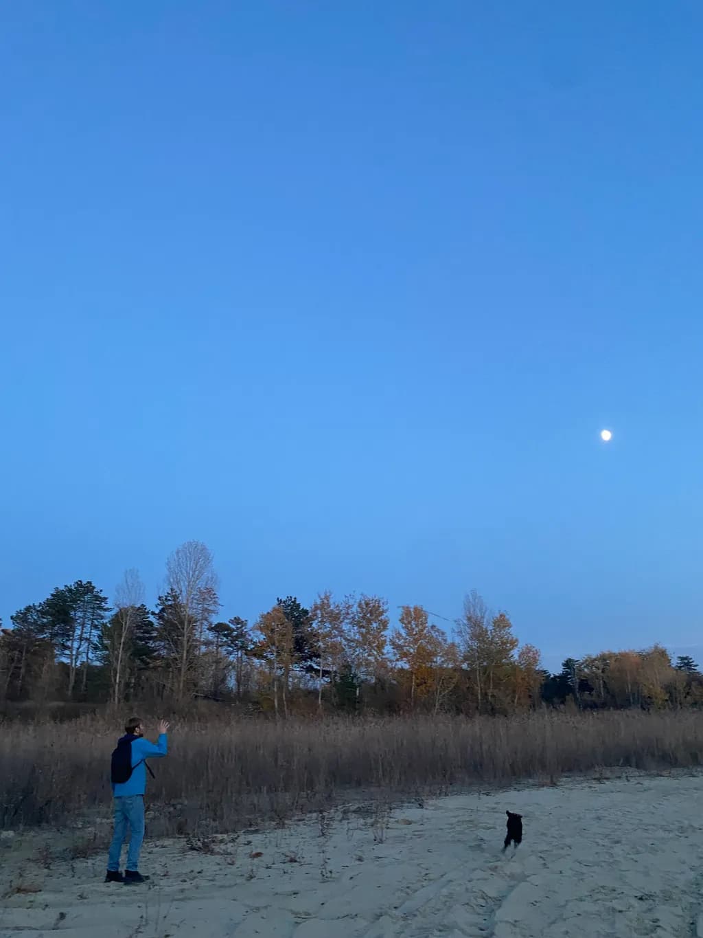 Moonlit Encounter