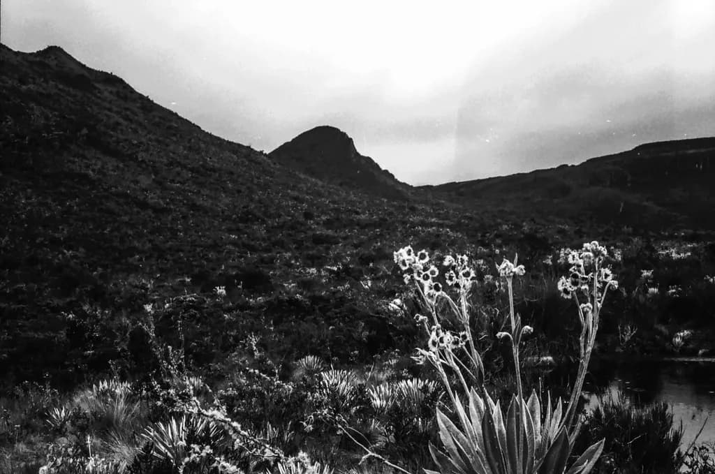 Monochrome Mountainscape