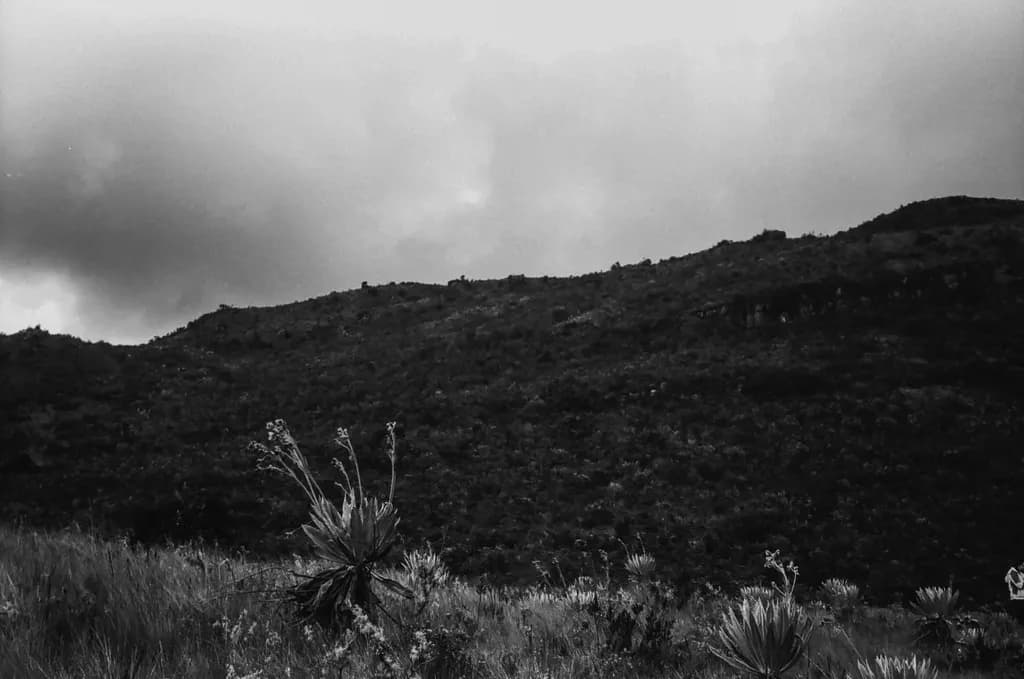 Mountain Shadows