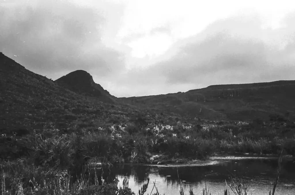Monochrome Landscape