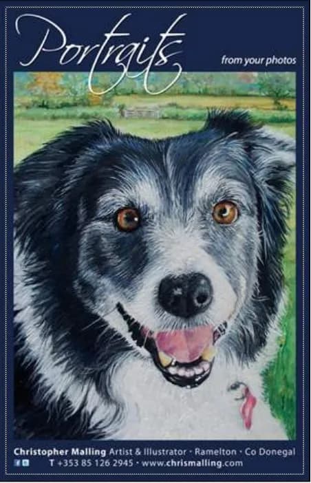 Canine Portraiture
