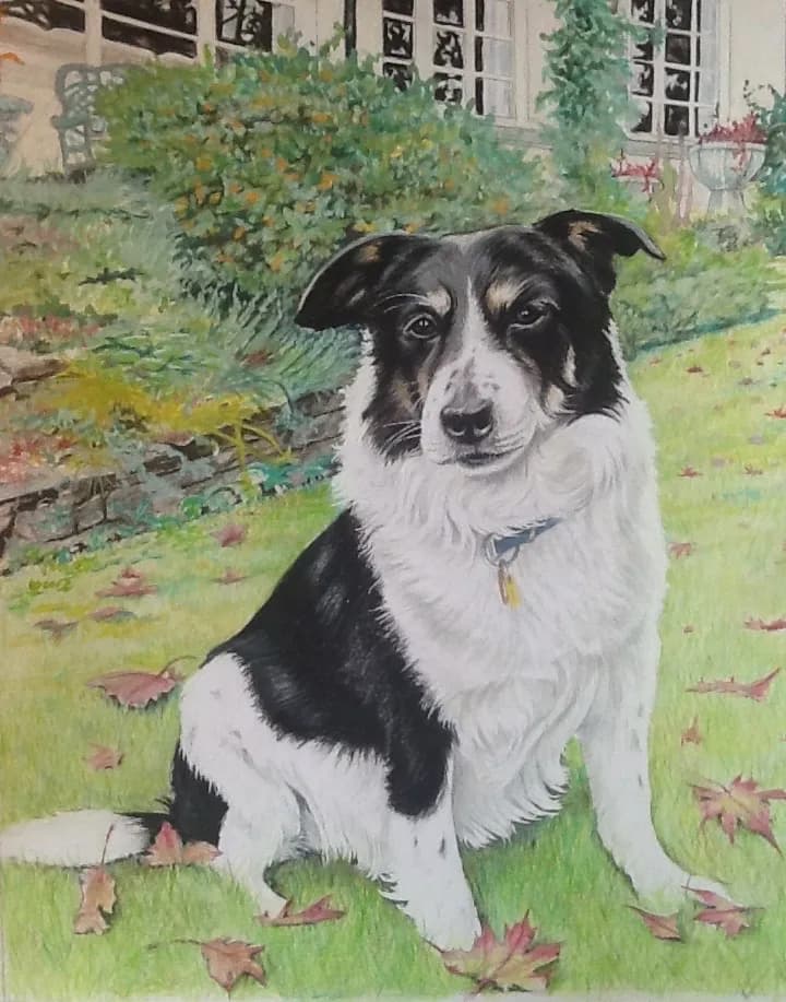 Loyal Companion