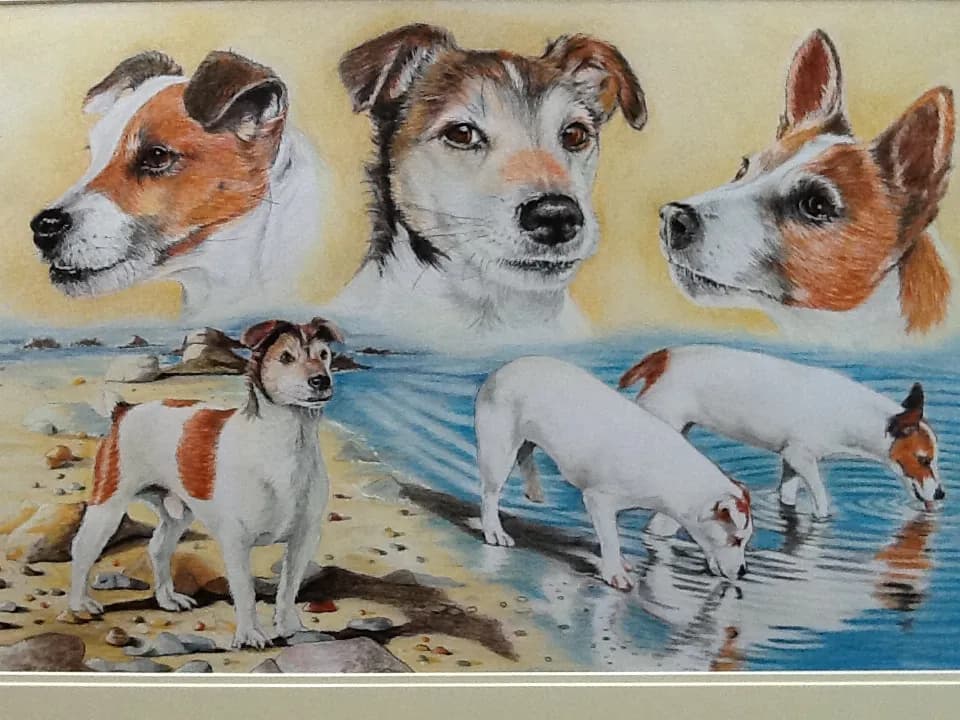 Dog Portraits by the Shore