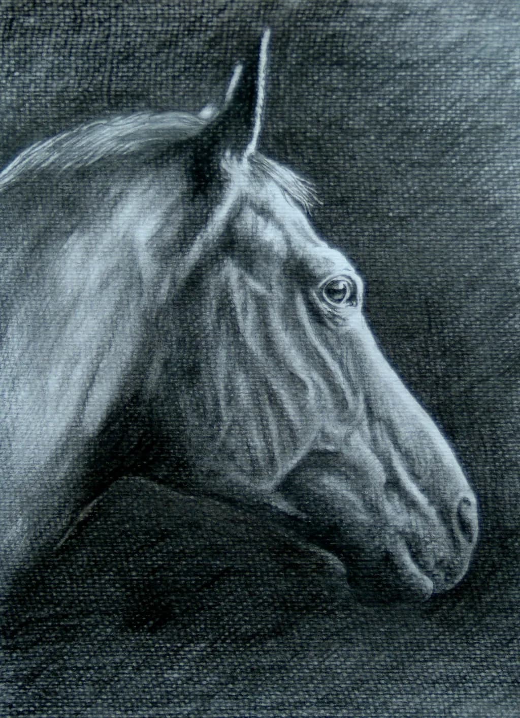 Black Horse