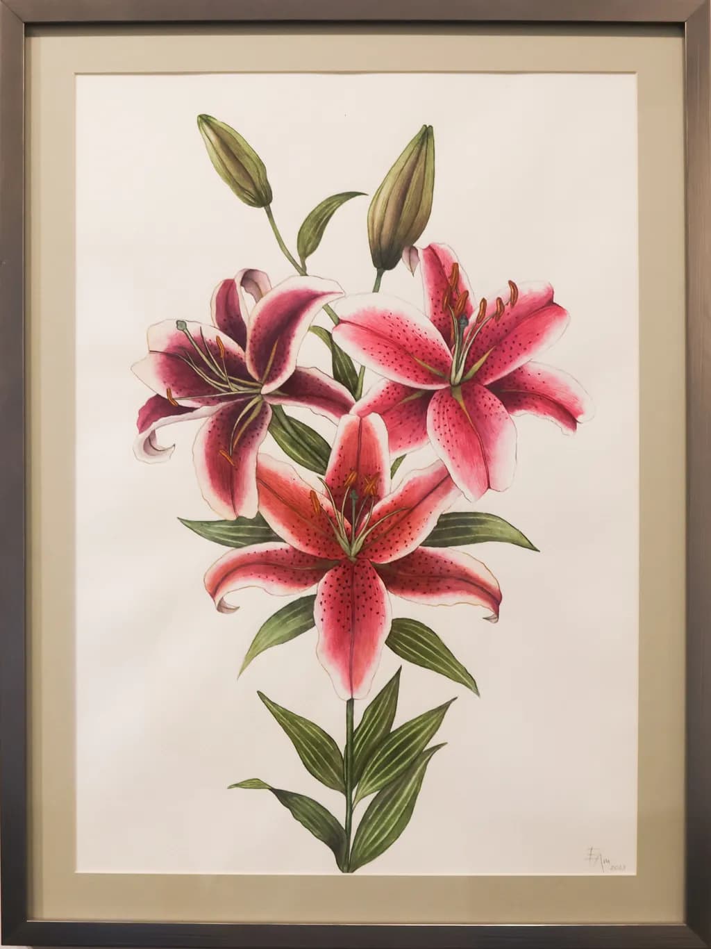 Stargazer Trio