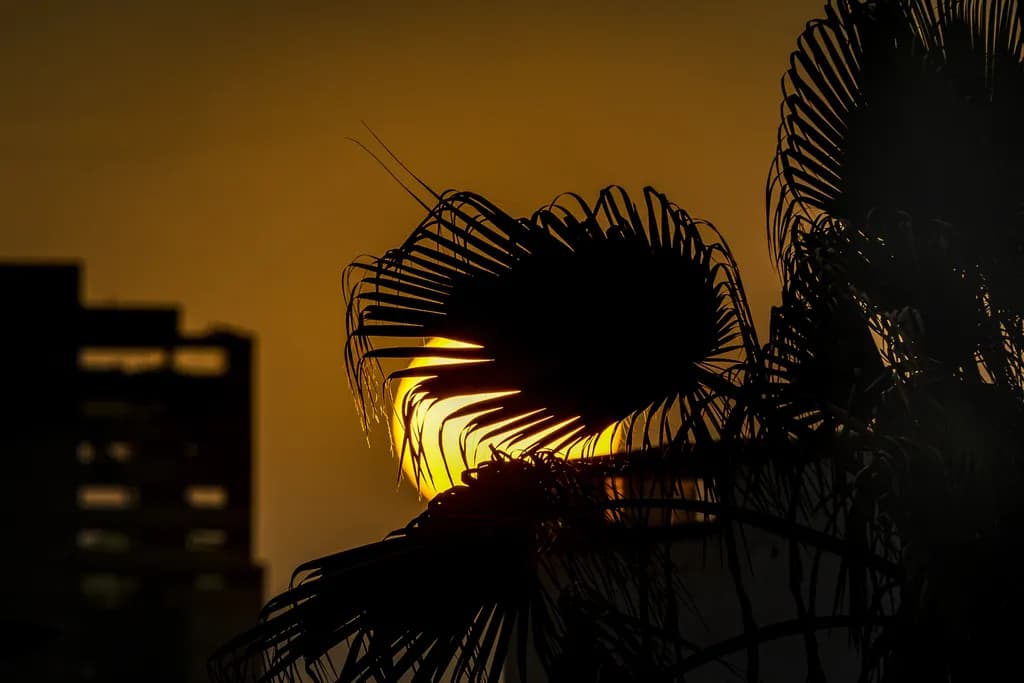 Atardecer Urbano