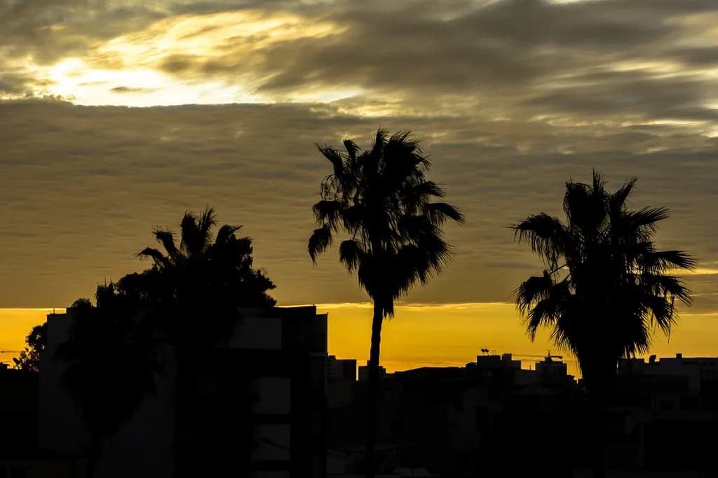 Atardecer Silueteado