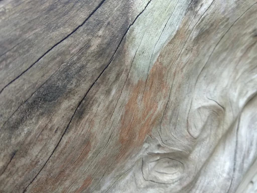 Textured Driftwood
