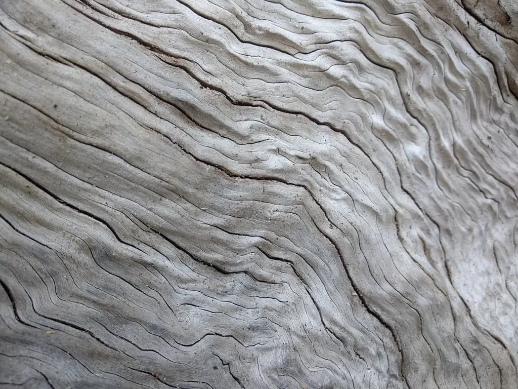 Textured Driftwood