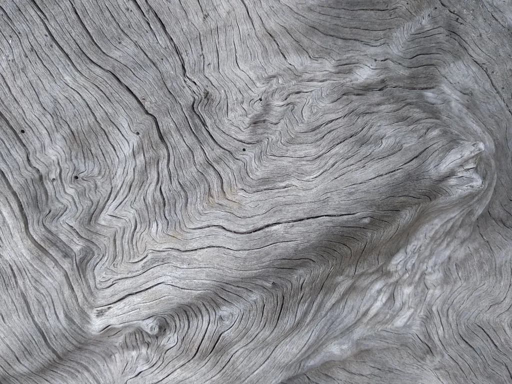 Textured Driftwood