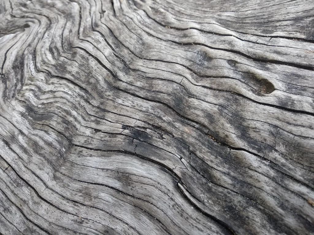Weathered Grain
