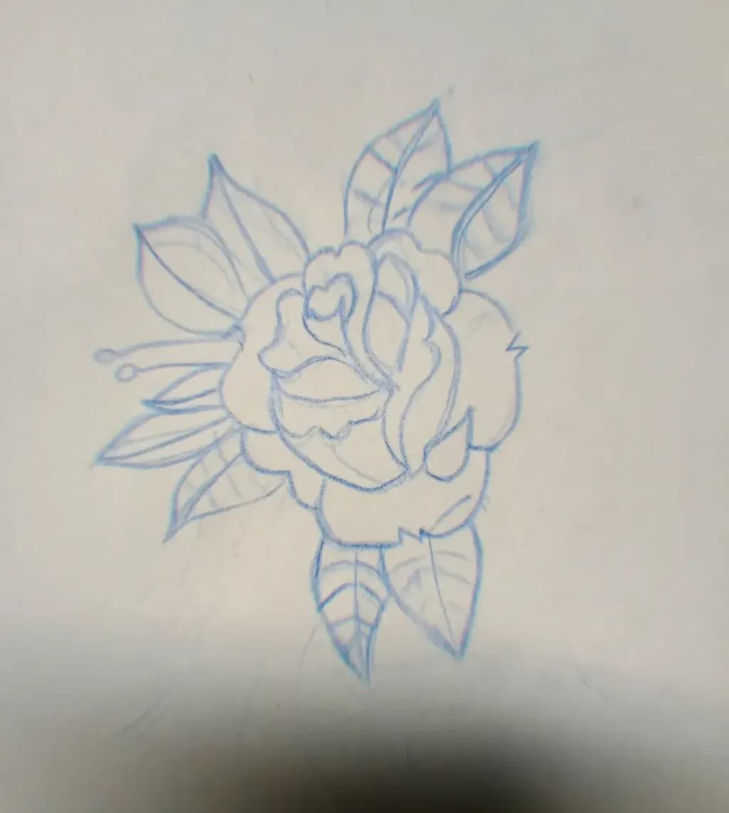 Rose Sketch