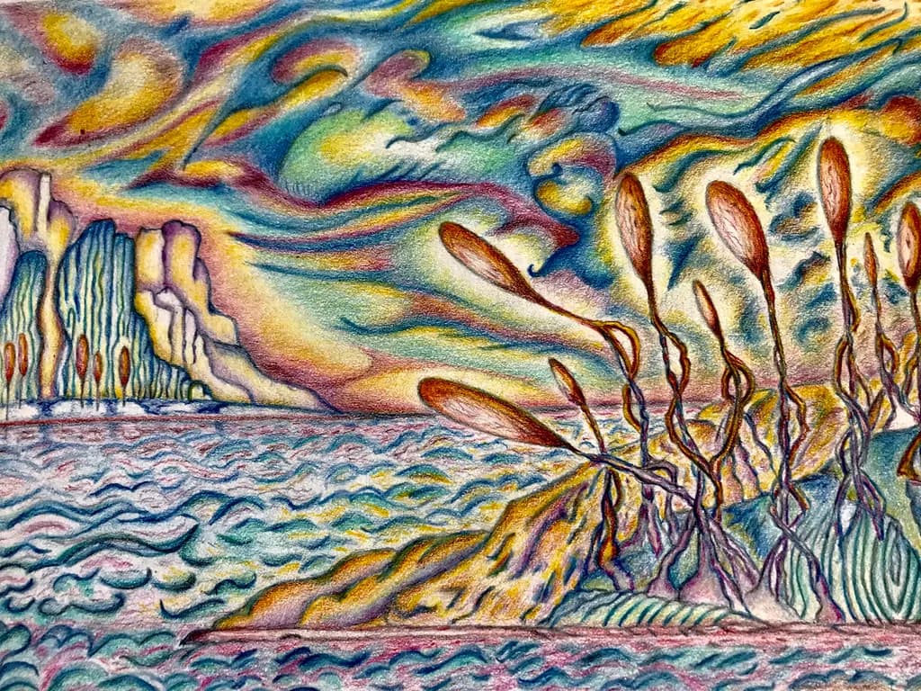 Twisted Coastline