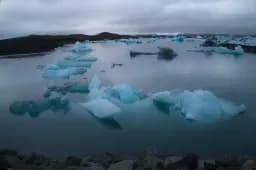 Silence of Ice Majestic