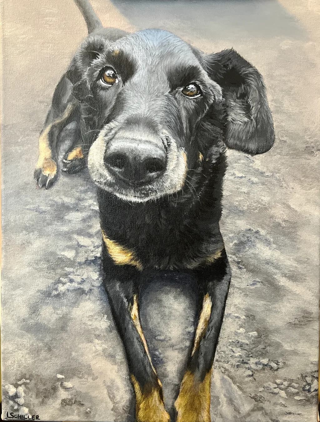 Nula-Custom Portrait