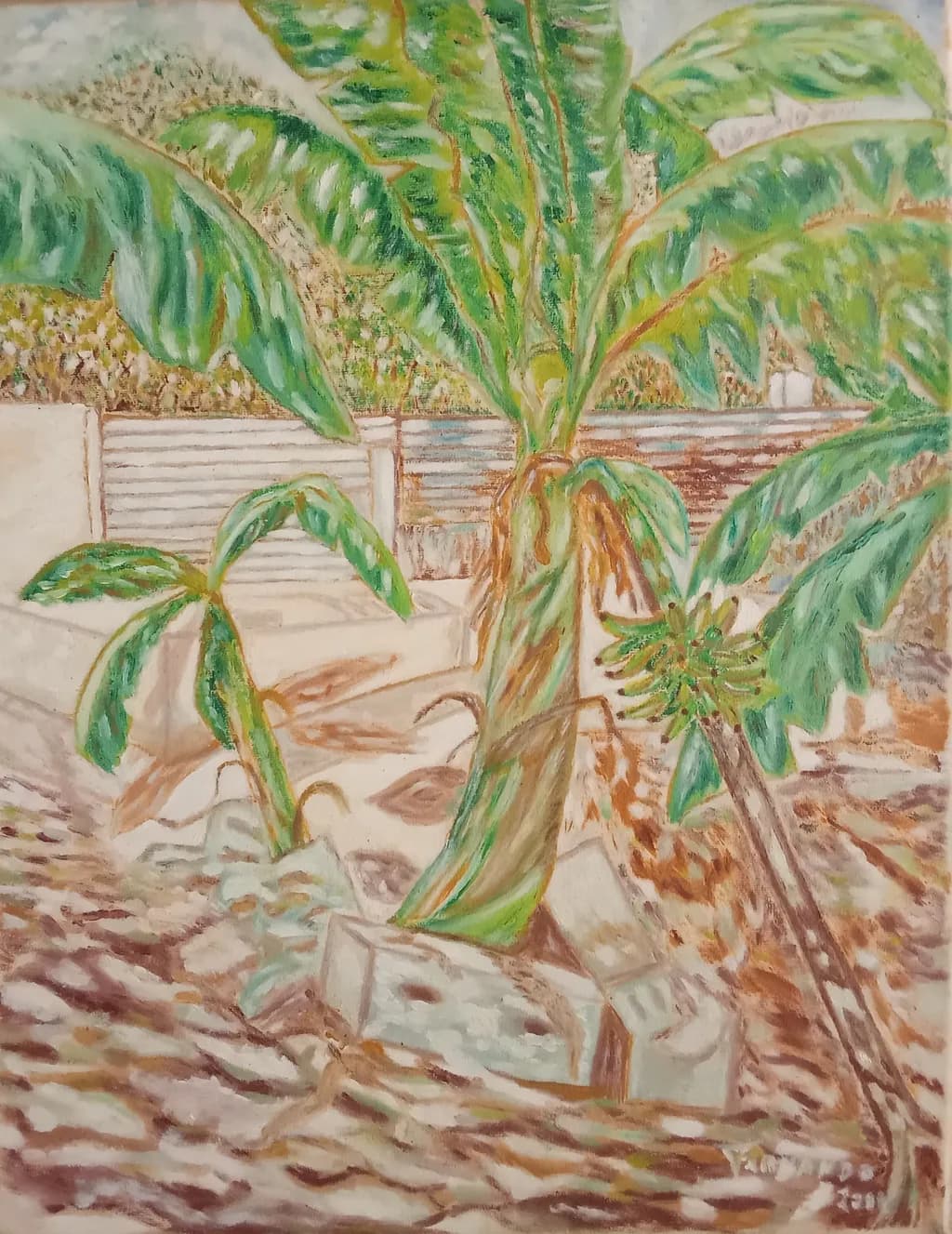 Tropical Oasis
