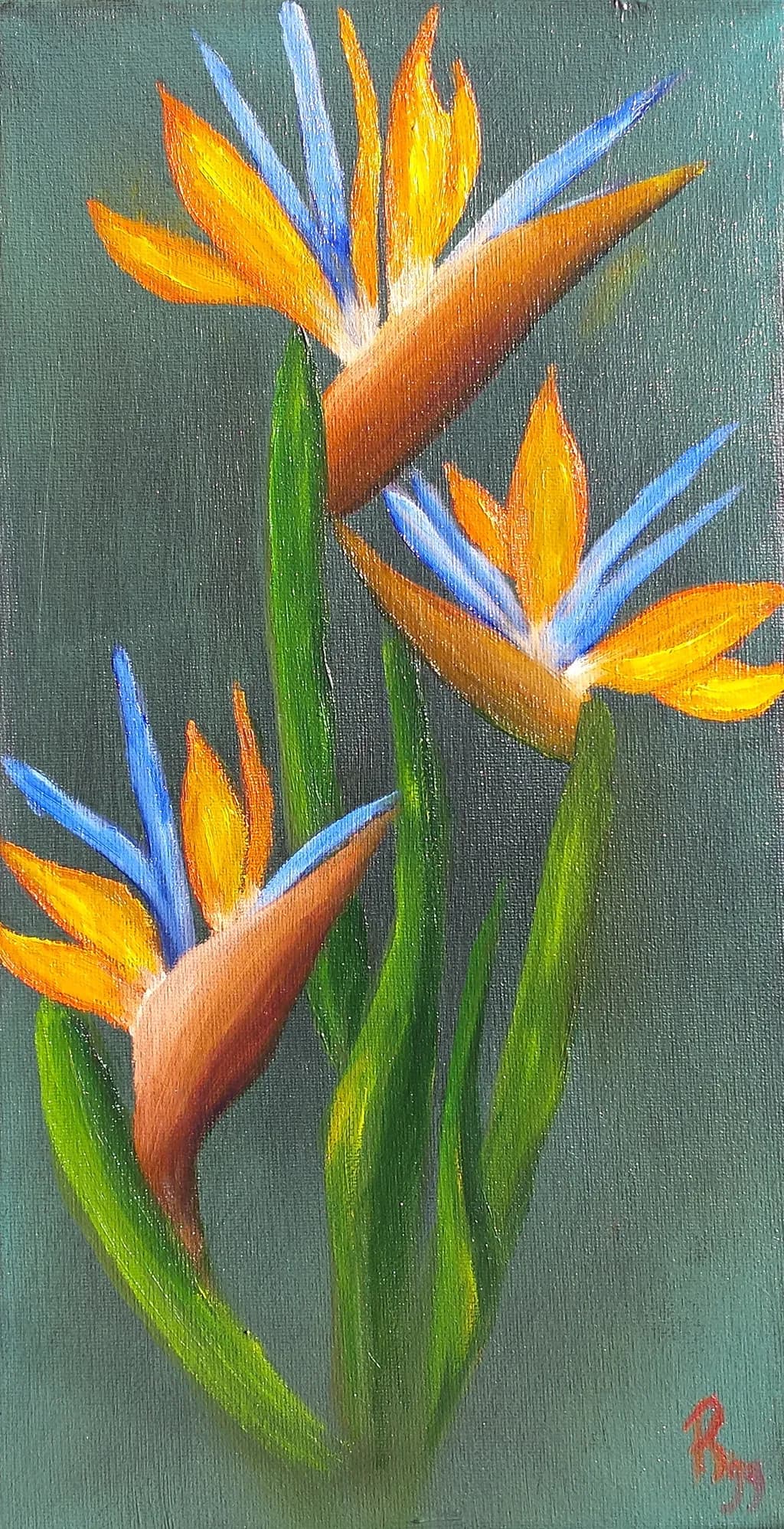 Paradise flower