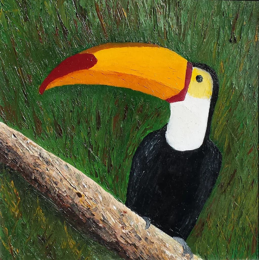 Toucan (Amazonas)