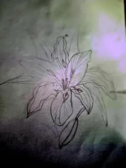Fading Blossom