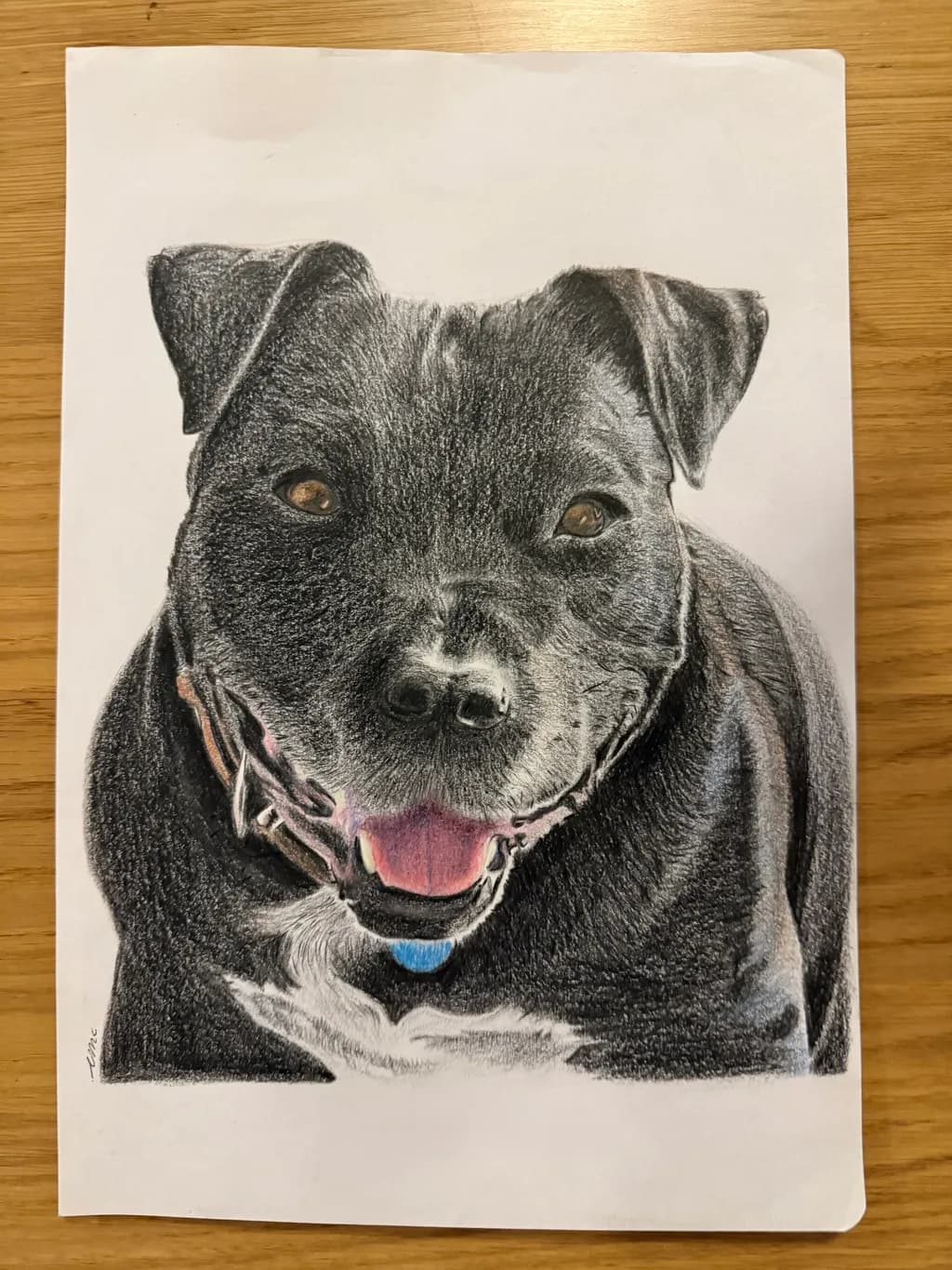 Joyful Canine Portrait