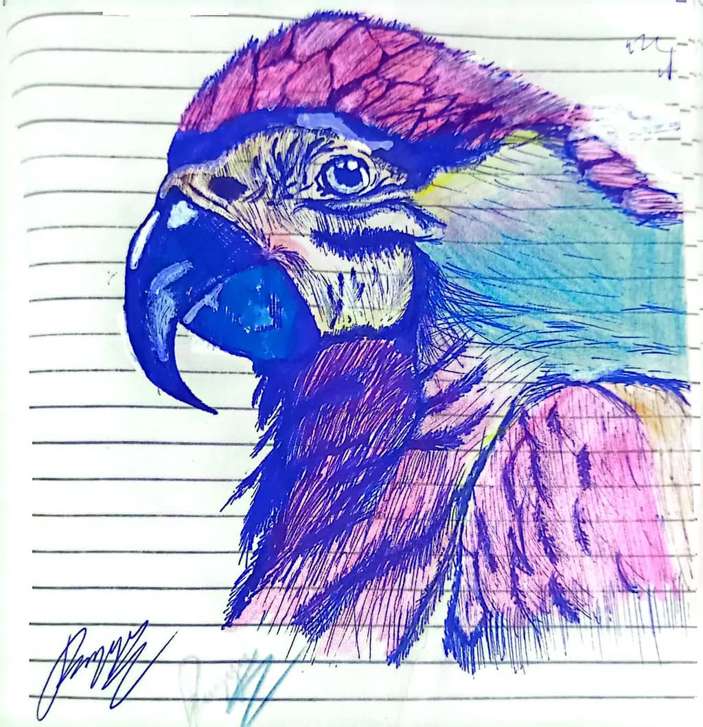 Colorful Falcon