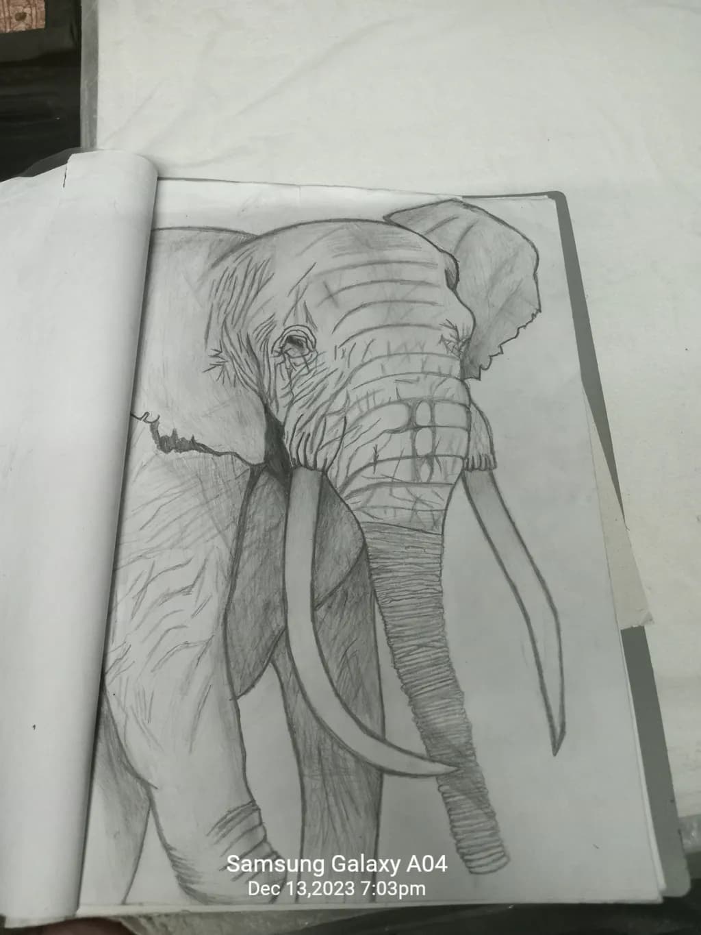 Elephant Sketch